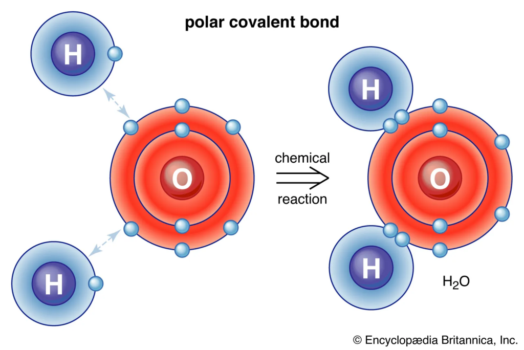 Discovery Of Õygen – How It Came Into Knowledge!