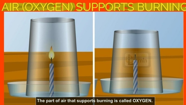 The Amazing Thing Is That The Oxygen is Supportive of Combustion: